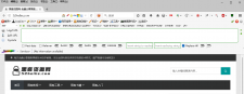 Firefox 52.0.2 渗透便携版下载